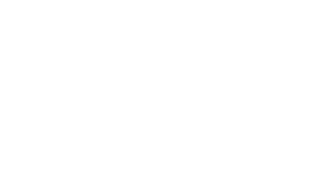 Vineyard Wind - logo