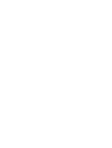Vintage Security - white logo
